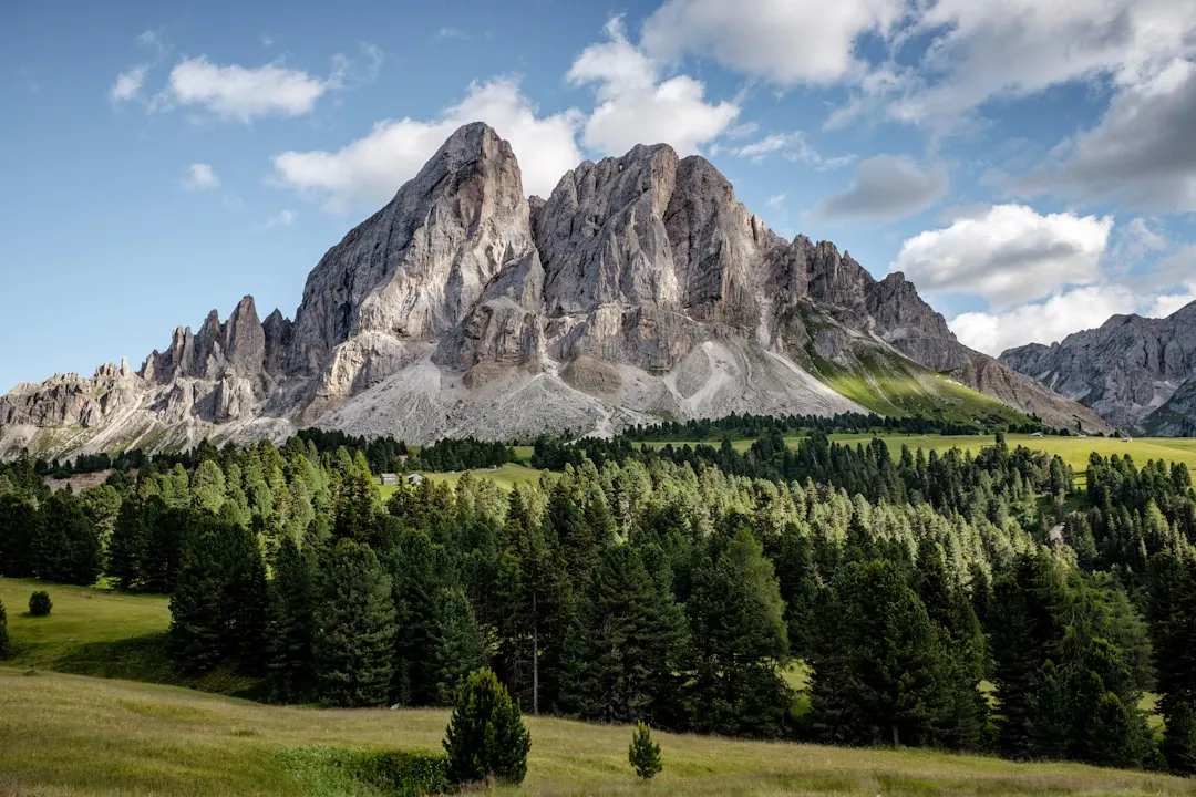 Unleash your adventurous spirit in Patagonia, where breathtaking landscapes, wild terrain, and vibrant wildlife create nature's ultimate playground.